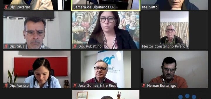 alt="en la imagen, diez diputados participan virtualmente de una reunión de comisión"