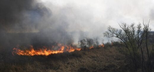 alt="en la imagen puede verse un incendio forestal"