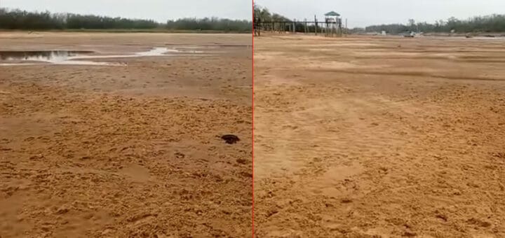 alt="El brazo del río conocido como Paraná Viejo se secó por completo en Victoria"