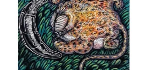 alt="en la imagen, la tapa de la revista virtual de los museos de Concordia"