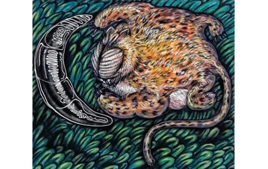 alt="en la imagen, la tapa de la revista virtual de los museos de Concordia"