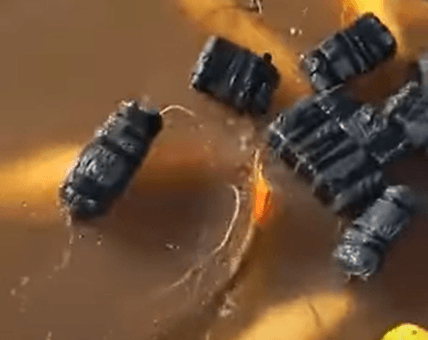 alt="peces capturados en las aguas del río Uruguay"