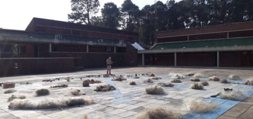 alt="en la imagen puede verse el patio de la Prefectura Salto Grande con redes y artes de pesca secuestradas y un efectivo de la fuerza de seguridad inspeccionándolas"