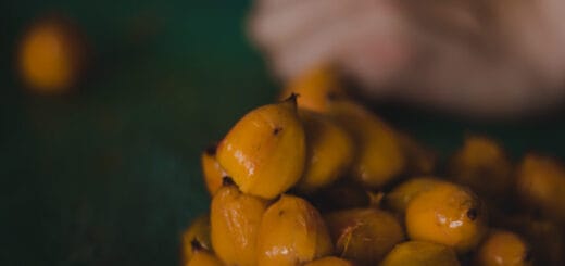 alt="El Butia yatay es un fruto de las palmeras, fibroso, de sabor ácido-dulce y sabor intenso, con diversos compuestos bioactivos como polifenoles, carotenos, vitamina C y potasio"