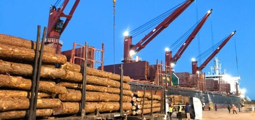 alt="en la imagen puede verse a varios camiones estacionados al costado de un buque, cargados de troncos, mientras las grúas del buque están listas para iniciar la carga, algunos trabajadores están en las inmediaciones"