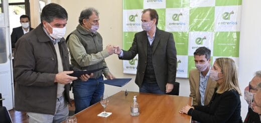 alt="El gobernador Gustavo Bordet anunció la decisión de subsidiar la tarifa eléctrica para los arroceros y arandaneros"