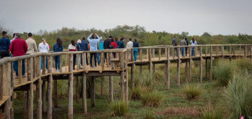 alt="Un paseo por la Reserva Natural Chaviyú"