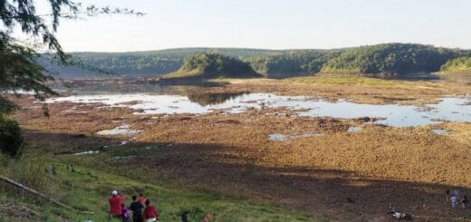 alt="A secas. En la zona de Itapúa (Paraguay), así luce un brazo del río Paraná, que superó el histórico nivel de bajante que llegó a registrar en 1944"