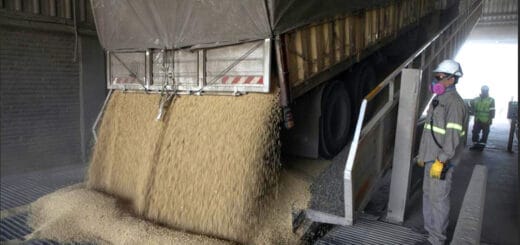 alt="un camión descargando cereal y un obrero controlando la operación"