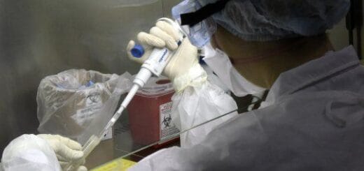 alt="La variante Delta fue detectada en la ciudad uruguaya de Paysandú, frente a Colón, Entre Ríos"