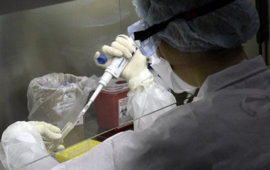 alt="La variante Delta fue detectada en la ciudad uruguaya de Paysandú, frente a Colón, Entre Ríos"