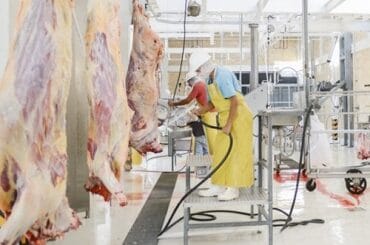 alt="en la imagen puede verse a dos obreros trabajando en un frigorífico donde hay reses colgadas"