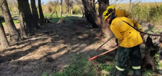 alt="Más de una docena de brigadistas trabaja en las tareas de combate del fuego en las Islas de Las Lechiguanas, en el sur de la provincia"