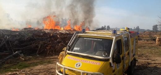 alt="Una unidad de los bomberos voluntarios fue la primera en llegar al lugar del siniestro"