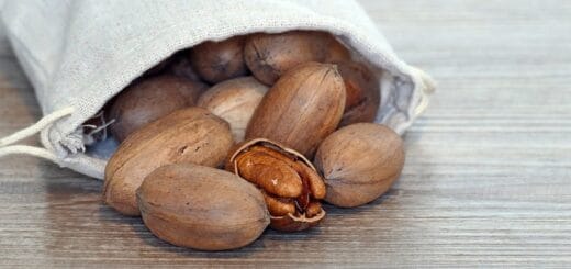 alt="El desarrollo de nuevos alimentos revaloriza subproductos de la cadena productiva de la nuez pecán"