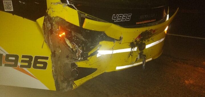 alt="el ómnibus colisionó con una vaca mientras iba para Buenos Aires"