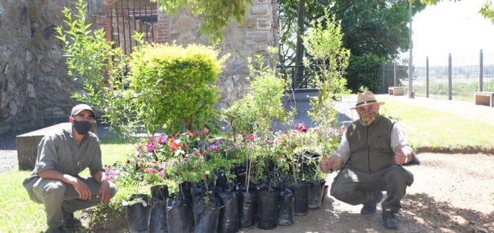 alt="El Parque San Carlos recibió la donación de 50 ejemplares de árboles nativos provenientes del Parque Nacional El Palmar"