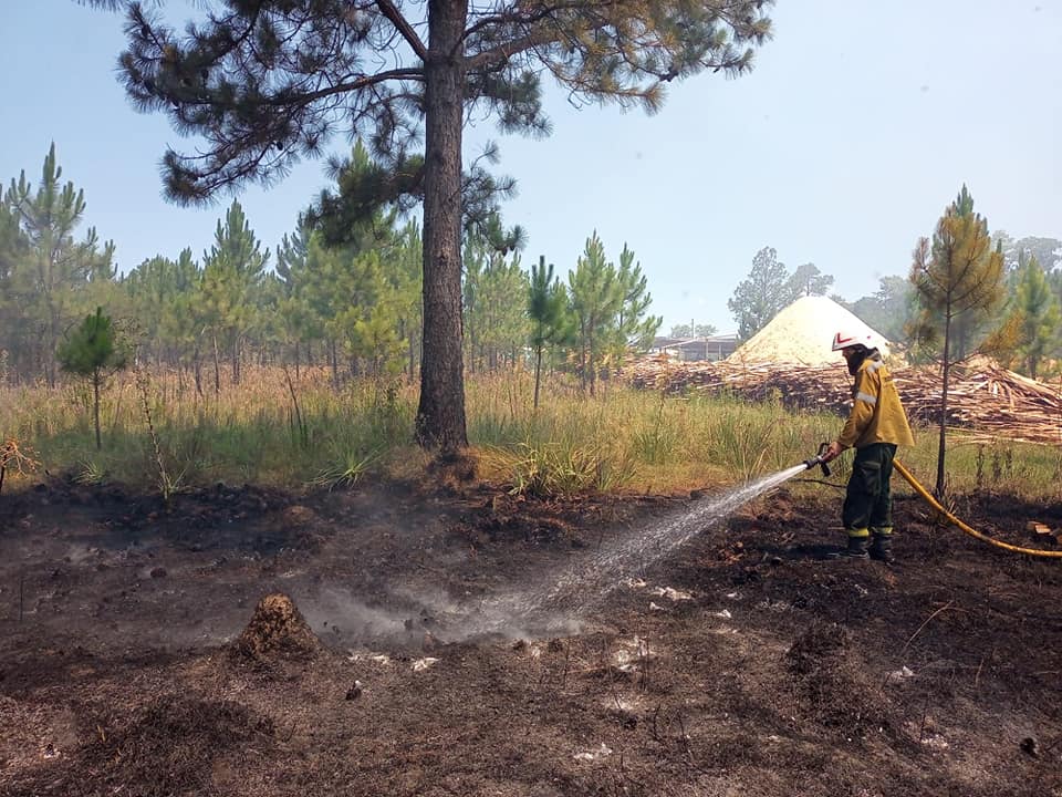 alt="Los Bomberos Voluntarios de Concordia lograron frenar el avance de las llamas cerca de uno de los aserraderos"