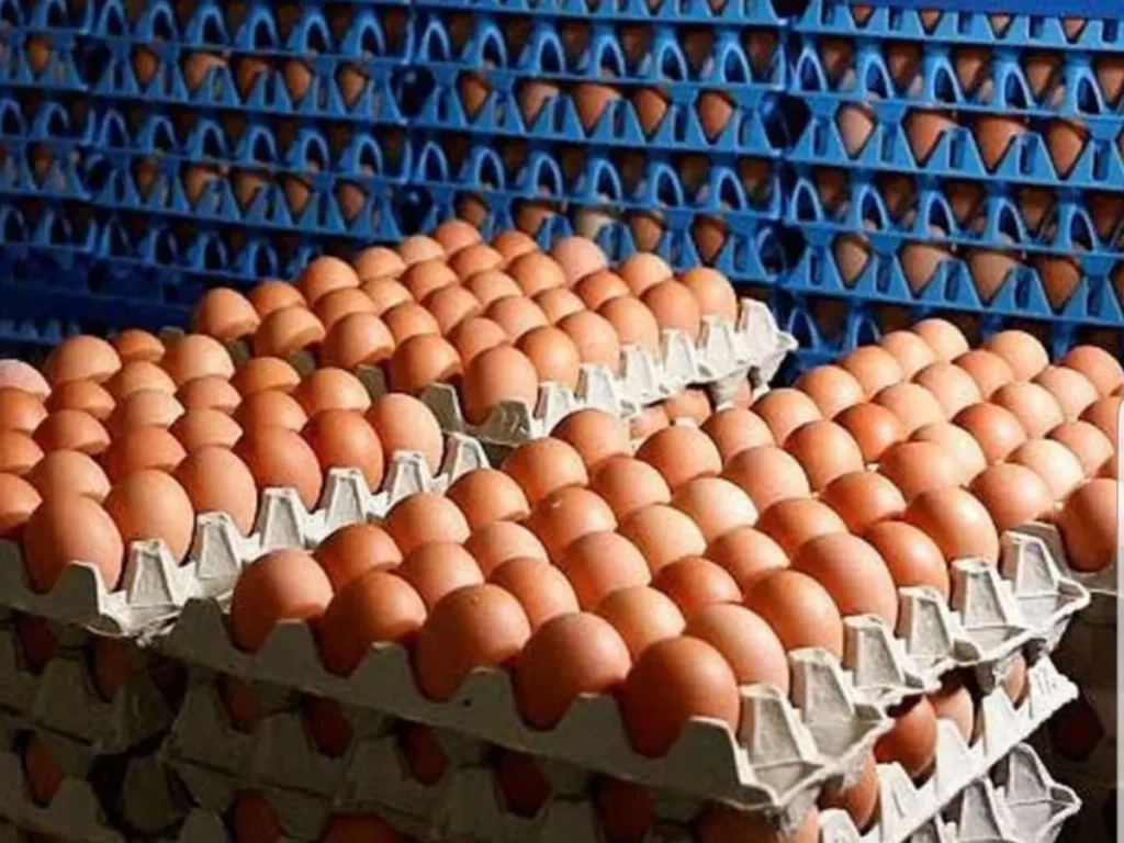 alt="Productor de Crespo señaló que el aumento del precio del huevo tiene que ver con la mortandad de gallinas por la hola de calor y la no reposición de las ponedoras debido a la falta de rentabilidad"