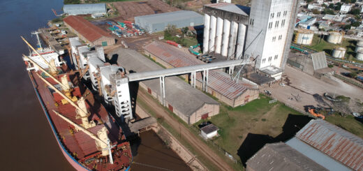 alt="en la imagen se observa una vista aérea del puerto de concepción del uruguay, con un barco y un silo para cargar cereal"
