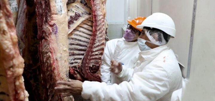 alt="Del acuerdo con los supermercados participan cadenas como Coto, Jumbo, Vea, Disco, Carrefour, Walmart, Changomas, La Anónima y Día%; las cadenas mayoristas Vital y Makro y carnicerías adheridas a Única y ABC"