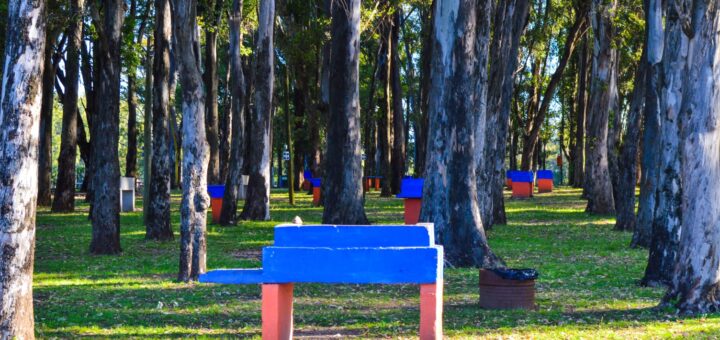 alt="parrillas ubicadas en las playas del lago de salto grande, ubicadas entre árboles de eucaliptus y pintadas de azul en la parte superior y rosado en la inferior"