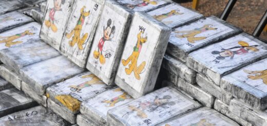 Por el Río Uruguay ingresaron los 450 empaquetados con logos de los personajes de Mickey Mouse y Pluto.