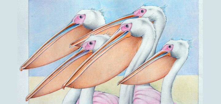 alt="Reconstrucción de Pelecanus paranesis. Créditos: Gustavo Righelato"