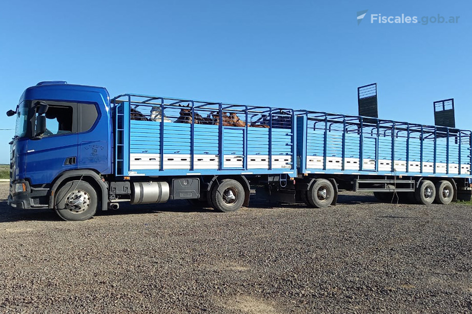 alt="Seis personas fueron procesadas por lavado de activos y evasión tributaria en el comercio de equinos en el sur de Entre Ríos"