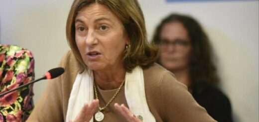 En la foto se puede ver a Alicia Fregonese, presidenta del Consejo General de Educación.