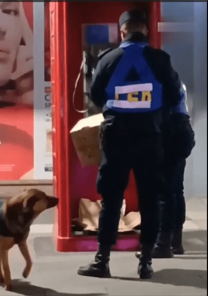 alt="Policías de Concordia resguardan perros callejeros del frío. Un acto de humanidad que fue destacado por autoridades"