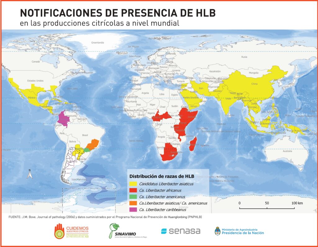 alt="en el mapa se observa la expansión mundial de la plaga. Para proteger a los cítricos del HLB el Senasa actualiza su estrategia modificando las Áreas Bajo Cuarentena"