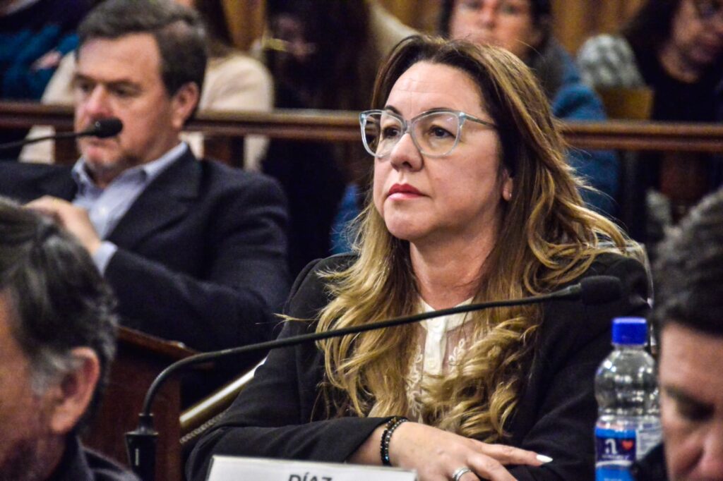 alt="en la fotografía, la senadora Patricia Díaz, una de las legisladoras de Más para Entre Ríos que votó positivamente el proyecto de ley de Sostenibilidad de la Deuda en Entre Ríos"