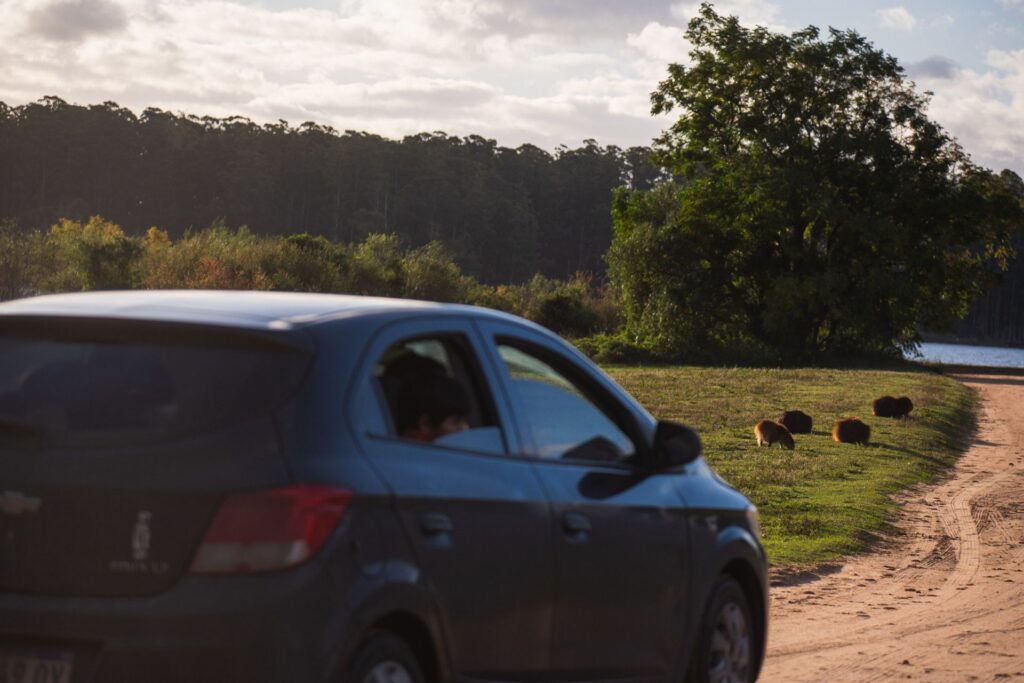 alt="El receso invernal en Entre Ríos generó más de $86.000 millones. Alta ocupación y estrategias innovadoras impulsaron el turismo"