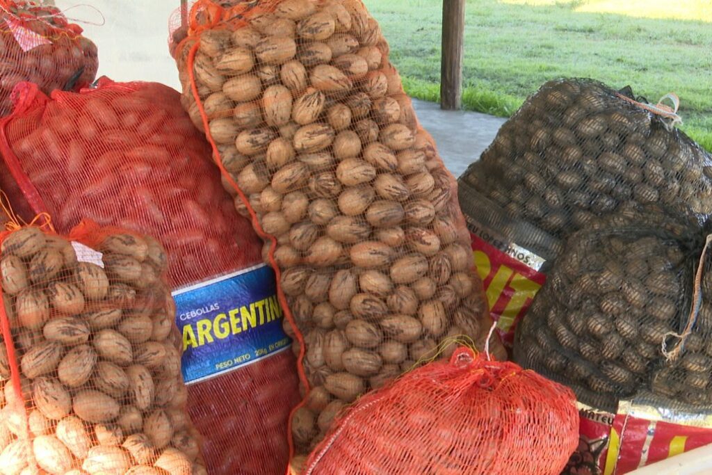 alt="reutilización de bolsas de cebollas para la nuez pecan"