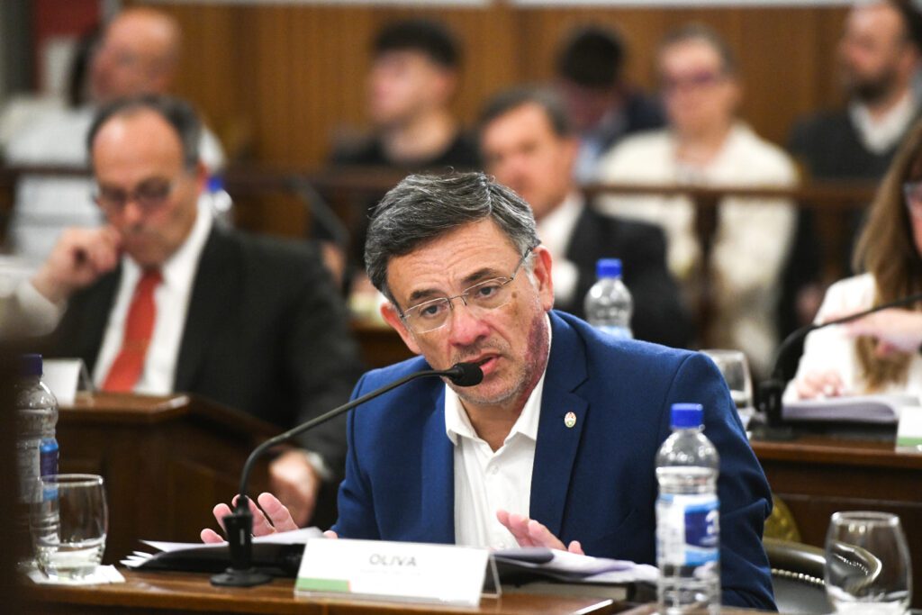 alt="el senador Martín Oliva se abstuvo"