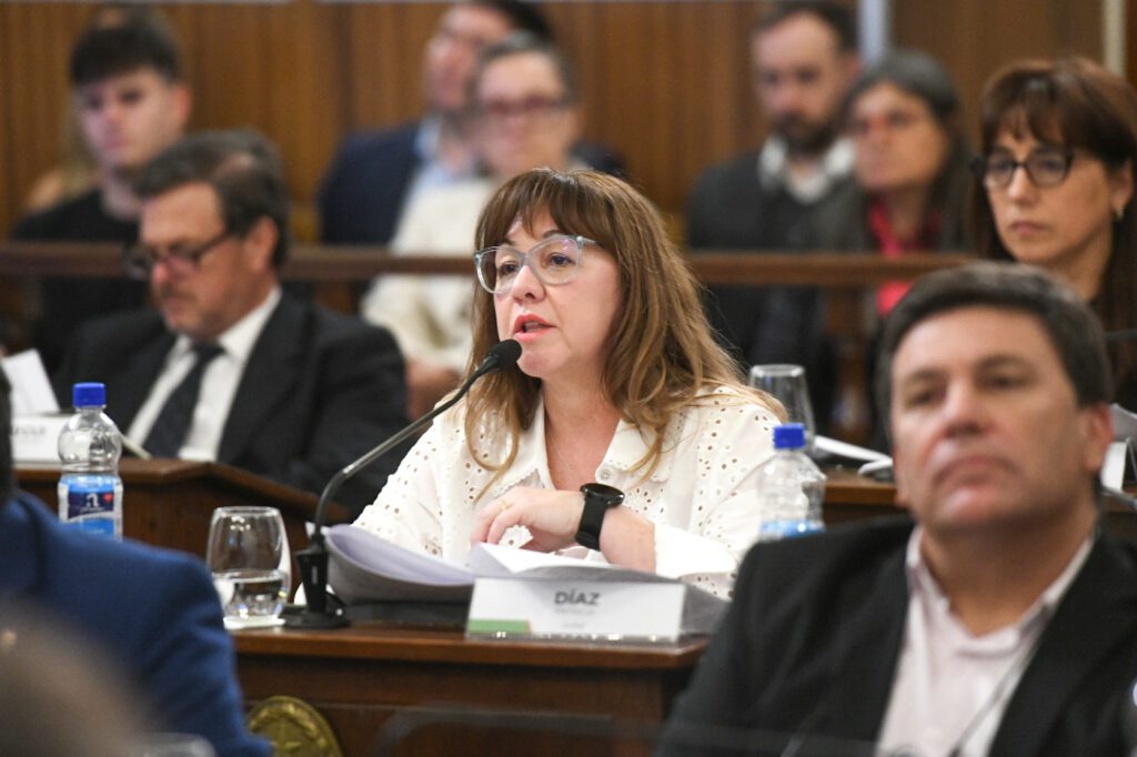 alt="la senadora Patricia Paz argumentó su voto negativo"