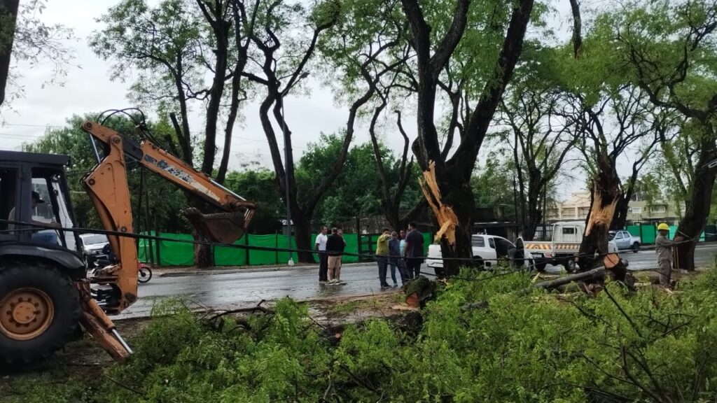 alt=" El temporal en Entre Ríos causó destrozos en Concordia y la costa del río Uruguay"
