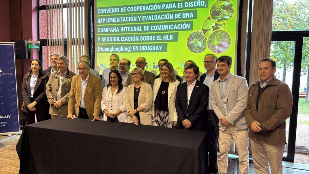 alt="El avance del HLB en Uruguay amenaza a la citricultura. Gobierno y privados lanzan campaña para frenar la plaga"