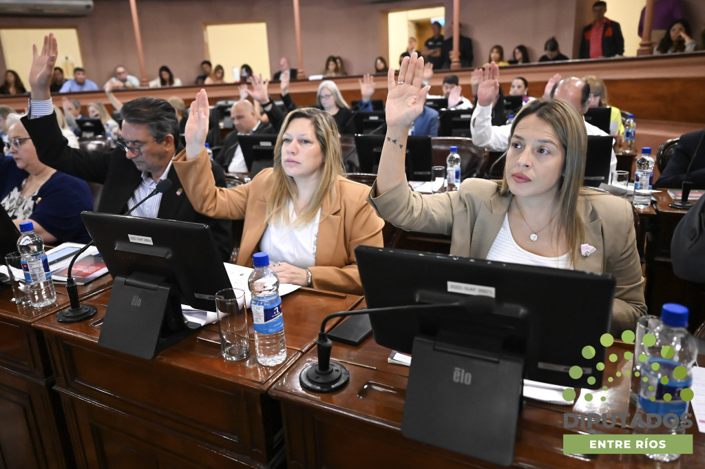 alt="diputados provinciales votan en el recinto"