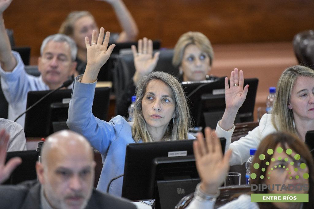 alt="diputados levantan la mano en la votación"