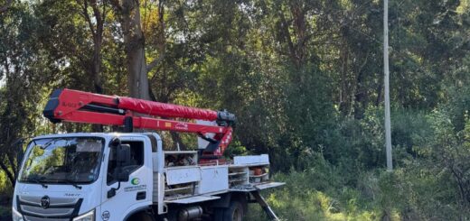 alt="Operarios trabajando en el tendido eléctrico para prevenir cortes de energía en Concordia"
