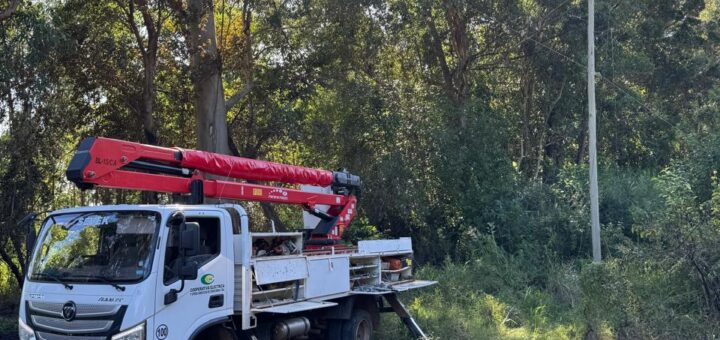 alt="Operarios trabajando en el tendido eléctrico para prevenir cortes de energía en Concordia"