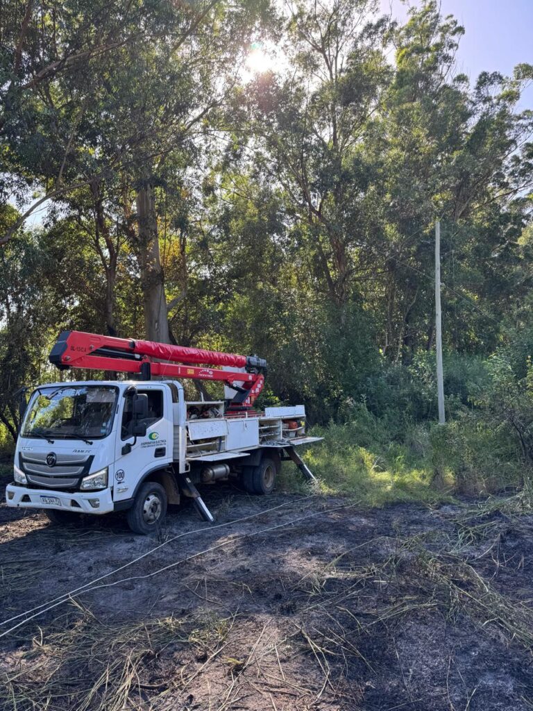 alt="Un incendio generó un corte de luz en Colonia Ayuí tras caer una rama. El servicio se normalizó este mediodía"