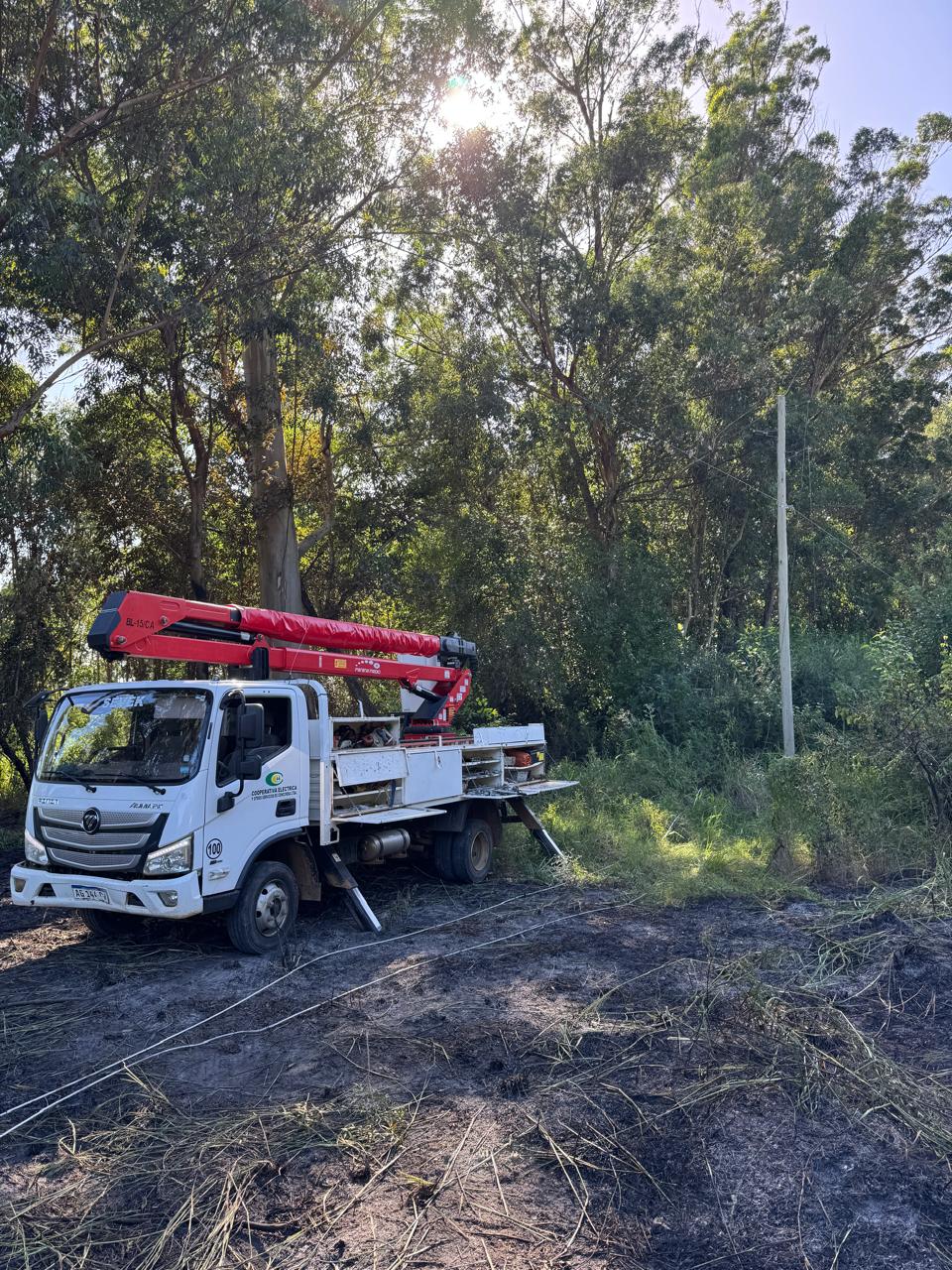 alt="Operarios trabajando en el tendido eléctrico para prevenir cortes de energía en Concordia"