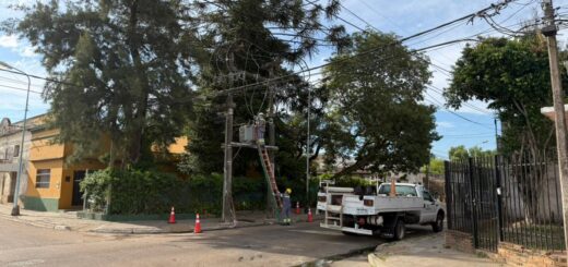 alt="Camión técnico y operarios de servicios públicos reparando el tendido eléctrico durante el corte de luz en Concordia"
