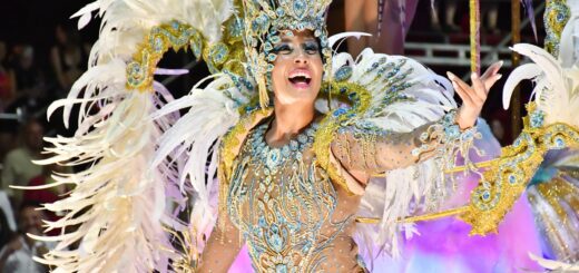 alt="una de las figuras del carnaval 2026 de Concordia durante uno de los desfiles de comparrsas"