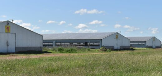 alt="Vista de una granja avícola en Entre Ríos"