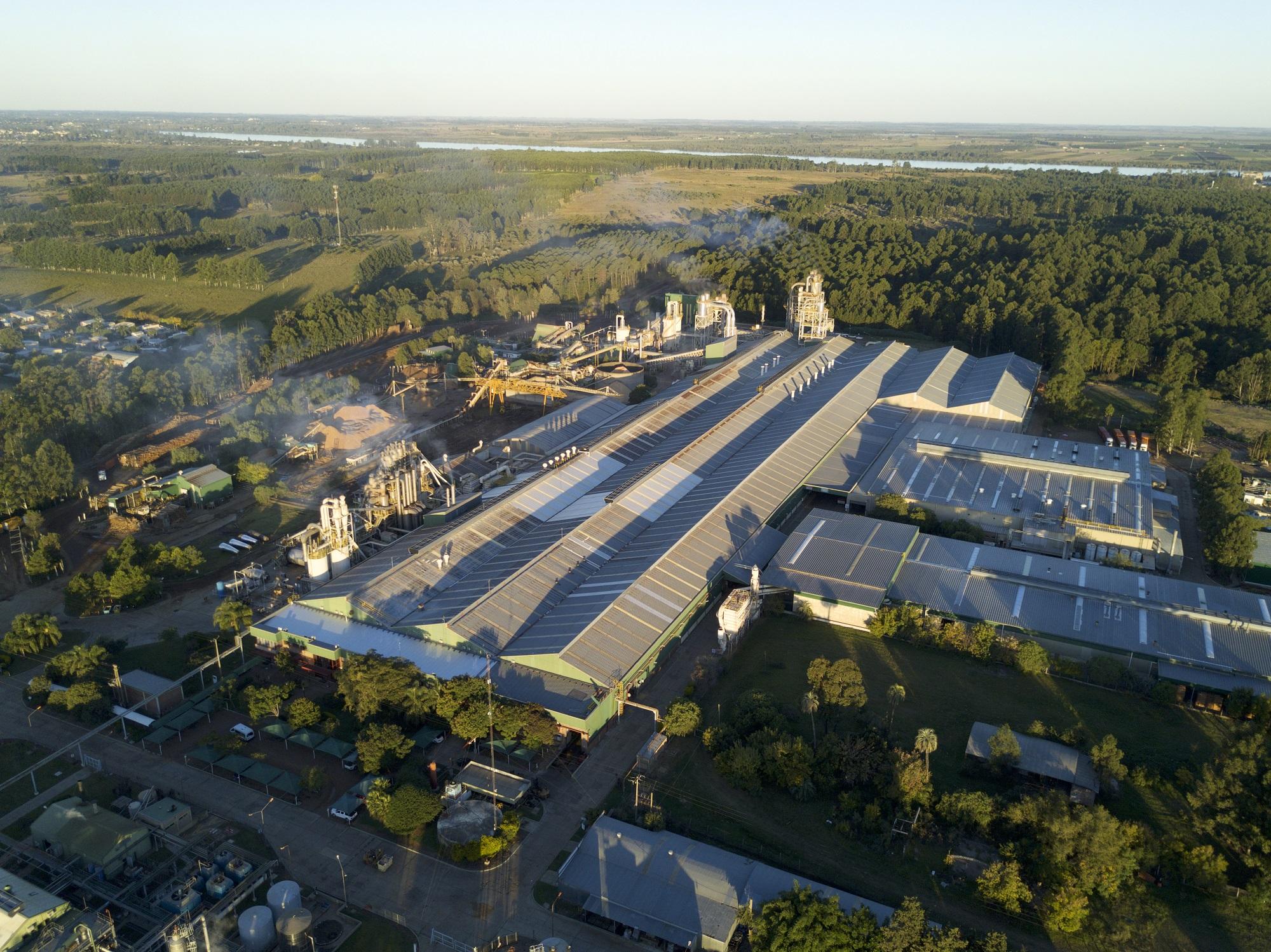 alt="Vista de un barrio residencial colindante con una planta industrial, imagen que representa el conflicto ambiental con Egger en Concordia donde vecinos y empresa conviven a metros de distancia en el Parque Industrial"