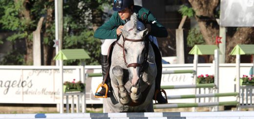 alt="Jinete realizando un salto durante el Concurso Hípico en Concordia"